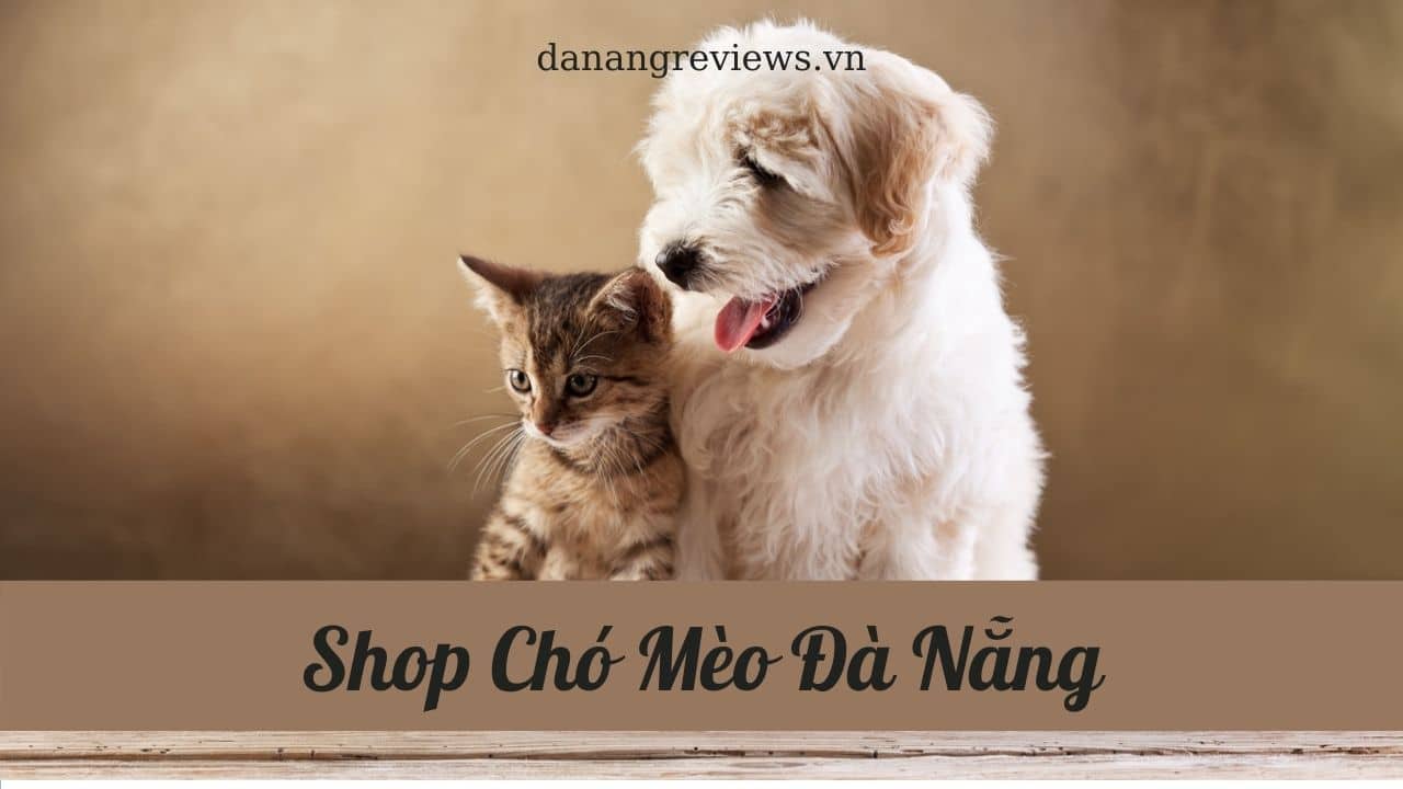 Shop Chó Mèo Đà Nẵng