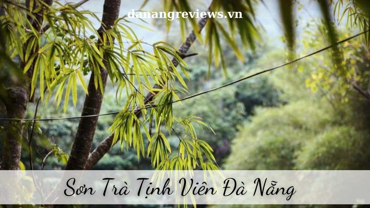 Sơn Trà Tịnh Viên Đà Nẵng